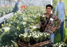 Rosa Eskelund of Roses Forever (from Denmark), presented the assortment at MNP Flowers for the second time this year. Among others, novelties were added to Infinity Series.